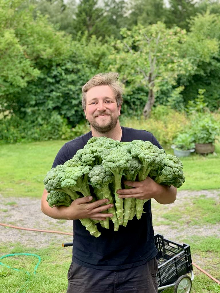 Gustaf Berggren Sörlin